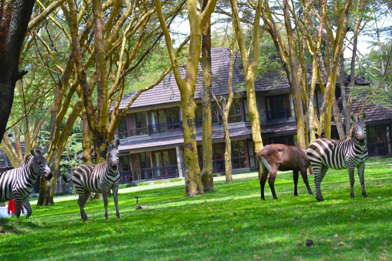Lake Naivasha Simba Lodge 나이로비 외부 사진
